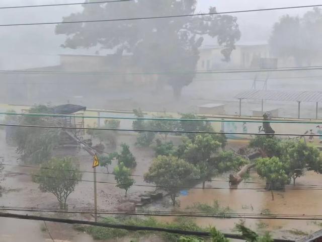 江市徐闻县广东、海南多地出现海水倒灌pg模拟器电脑版台风“麦德姆”登陆湛(图4)