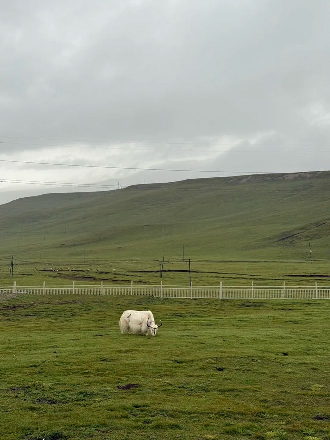 这份甘青大环线最佳路线图与深度旅游攻略pg电子试玩入口青甘大环线怎么玩？收藏(图1)