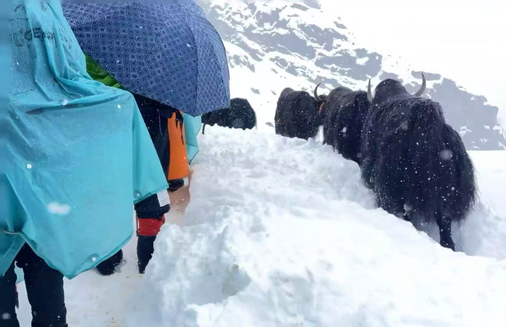潮、寂静雪山与一场不期而至的暴雪pg电子中国珠峰东坡一夜：喧